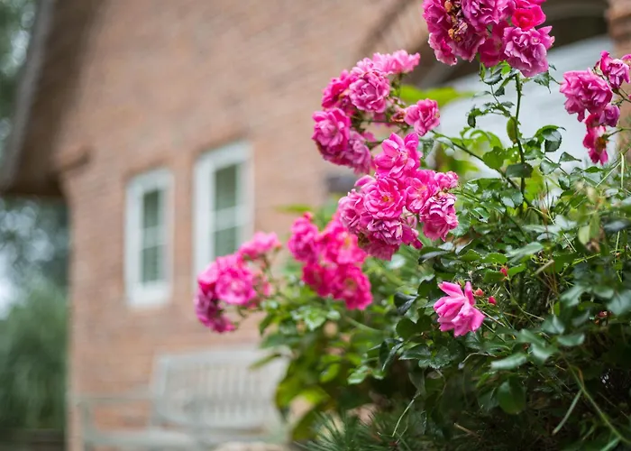 Girasol Vakantiehuis *